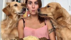 Bu köpekler sahibine yılda 550 bin TL kazandırıyor