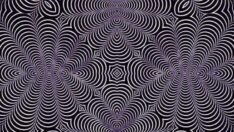 Bu resim sosyal medyayı ikiye böldü: Kedi mi görüyorsunuz geyik mi?