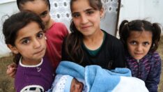 Çalışan kız çocuklarının sayısı arttı, okullaşma oranı düştü