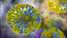 Çin açıkladı: H3N8 kuş gribi insanda tespit edildi