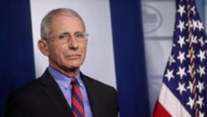 Fauci: Pandemi yavaşlama aşamasına geçti