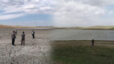 Geçen yaz tamamen kuruyan Acı Göl’den iyi haber