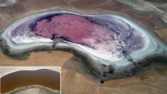 Her yıl pembeye bürünen Küçük Göl, kahverengi oldu