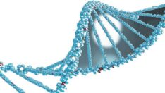 İyi bir uyku kanseri önler mi?