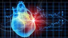 Kalp kapağı tamirinde ‘Türk yöntemi’