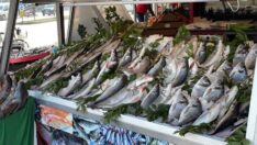 Karadeniz’deki serseri mayınlar tezgaha da yansıdı