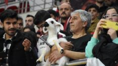 Kupa Voley finalini kuzusuyla birlikte izledi