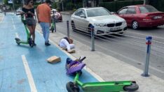 Martı kazaları literatüre girdi