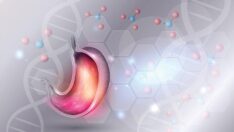 Mide mikrobu beyni de hedef alıyor