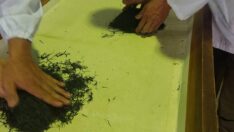 Rekor kırıldı: Bir kilogram çay 226 bin TL’ye satıldı