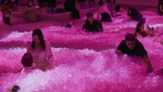 Renkli sergi kapılarını açtı: İlgi büyük