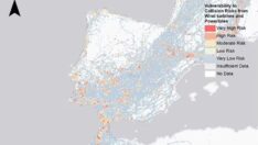 Rüzgar türbini ile ilgili kapsamlı araştırma: Türkiye’yi de işaret ettiler