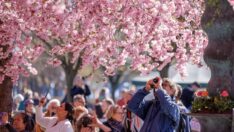 Stockholm’e bahar geldi: Herkes telefonuna sarıldı