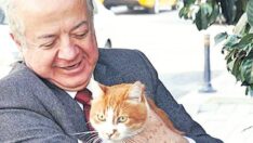 TFF Eski Başkan Vekili Affan Keçeci: Amaçları sporu ele geçirmek