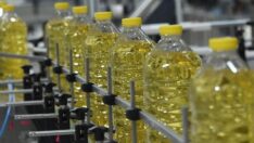 TMO’dan 12 bin tonluk ham ayçiçek yağı ithalatı