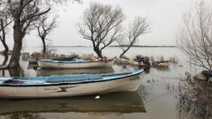 Uluabat Gölü çürüyor!