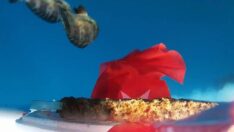 Uzaya boru kebabı göndermeye çalıştılar