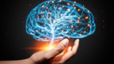 Uzmanlar açıkladı: Hissedilen ağrı beyin sapında yaşanabilir