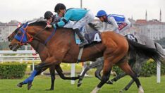 Veliefendi Hipodromu’nda İlkbahar-Yaz yarış sezonu başladı