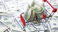 Yakında dövizde dalgalanma olabilir