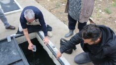 2 köyü hastanelik eden zehirlenme olayının nedeni belli oldu