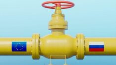 AB Komisyon üyesinden ruble ile ödeme çıkışı