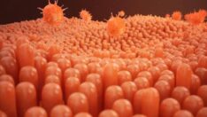 Adana Tabip Odası’ndan ‘maymun çiçeği’ açıklaması