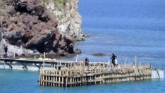 Akdeniz foklarının barınma alanında denize yapılan beton iskeleye tepki