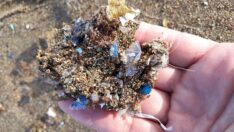 Akdeniz’de tatil sezonu mikroplastik kirlilikle açılıyor