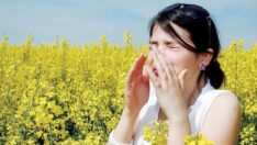 Alerjiye karşı gardınızı alın