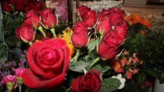 Anneler Günü’nde gülün adeti 25 TL