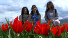 Beş ülkeden Muş lalelerini görmeye geldiler