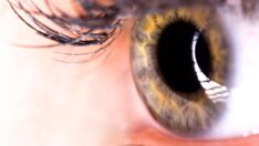 Bilim insanlarından mucizevi keşif: Ölümü yenme ihtimali doğdu