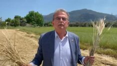 CHP’li Girgin: Çiftçiler borç ve iflasa sürükleniyor