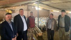 Çiftçi maliyet yorgunu