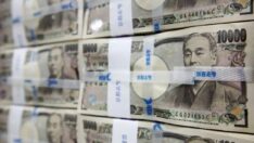 Covid-19 yardım paralarını kumarda kaybetti