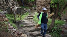 Dar sokakların çöp arabaları eşekler