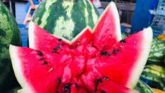 Edirne’de satılan karpuzu Bulgar turistler alıyor