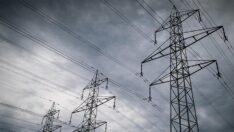 Elektrik zamları yatırımcıyı da çarptı