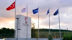 Fenerbahçe, Trabzonspor ve Josef PFDK’da