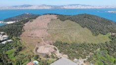 Heybeliada yeşillenmeye başladı