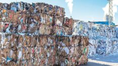 Hurda kağıt oyununa bakan el koysun