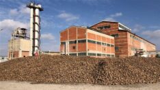 Kâr gemileri limanda bekliyormuş