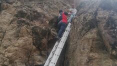 Kayalıklarda mahsur kalan keçiler kurtarıldı