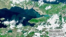 Körfez neden turkuaza büründü?