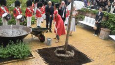 Kraliçe, tahta çıkışını ağaç dikerek kutladı