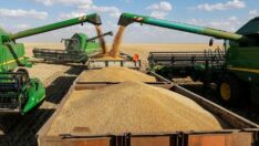 Kuraklık ve rekolte kaybı ihracatı riske attı