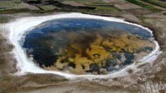 Kuruyan Kellah Gölü rengarenk oldu