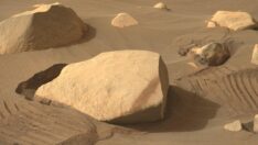 Mars’ta zen bahçesi: NASA Perseverance’tan yeni görüntüler paylaştı