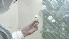 Maymun çiçeği virüsü nedir? Maymun çiçeği belirtileri nelerdir, bulaşır mı?